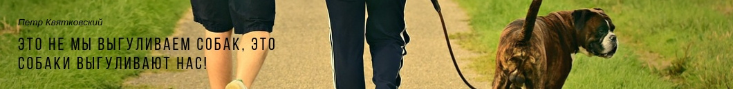 Амуниция